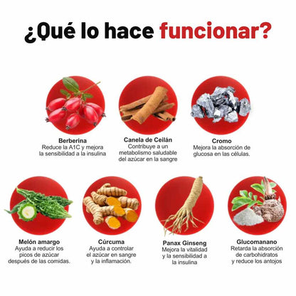 True Nutra – Blood Sugar Complex™